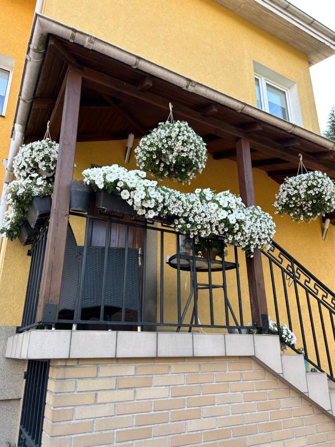 Yellow Villa Gdaňsk Exteriér fotografie